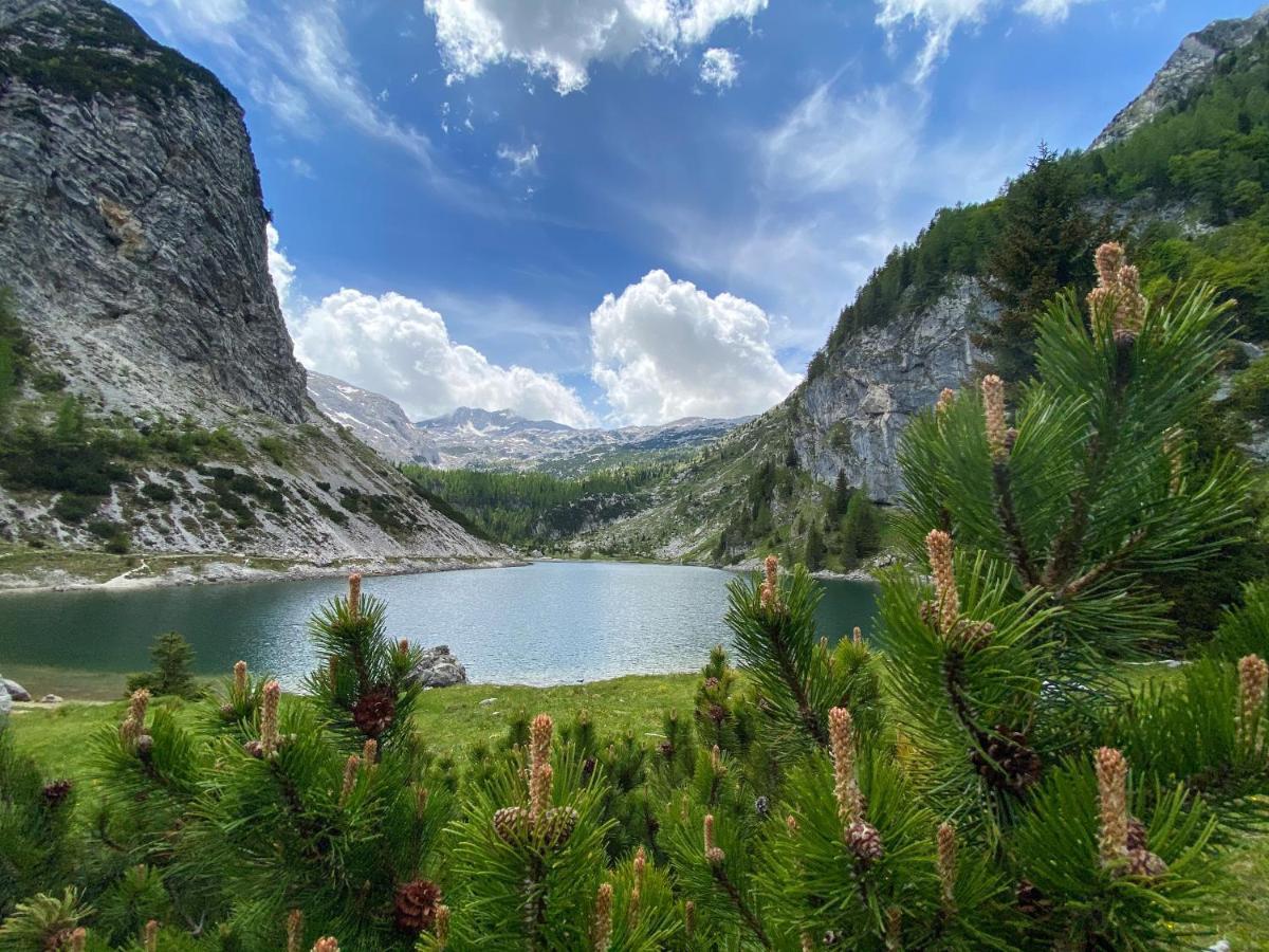 Hostel Soca Rocks Bovec Eksteriør bilde